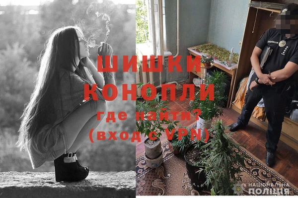 спайс Сатка