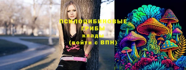 первитин Алексеевка
