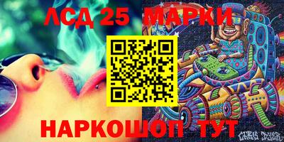 стафф Бийск