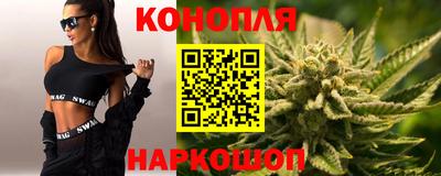 стафф Бийск