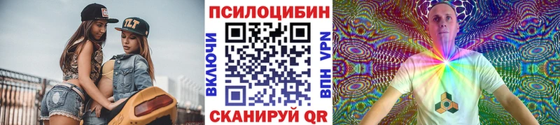 купить закладку  Гагарин  Галлюциногенные грибы Cubensis 