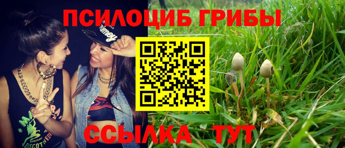 Псилоцибиновые грибы Cubensis Гагарин