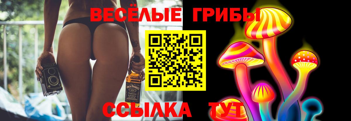 Гагарин  Галлюциногенные грибы мухоморы  Псилоцибиновые грибы ЛСД  Вход с VPN 